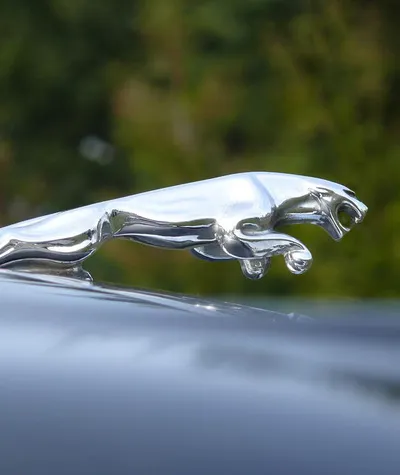 Jaguar